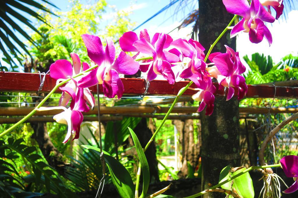 Kampot Guesthouse Екстериор снимка